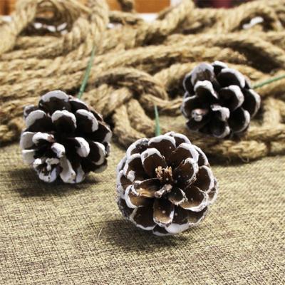 China Beautiful and Colorful Snowflake Pine Cone Christmas Decoration Dried Flower Ornaments Dyed White Pine Cones Dipped White Pinecone Decoration Pendant for sale