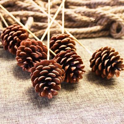 China Wholesale Christamas Last Forever Home Decor Wedding Decoration Pinecones Preserved Solgo PineCones The Real Dry Dry Pine Cone for sale