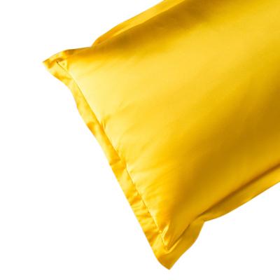 China 6A Anti-static Grade 100% Mulberry Silk Pillowcase Envelope Type Single Pillowcase Cool Home In Summer for sale