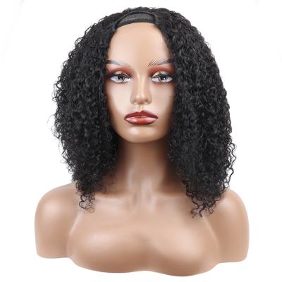 China New Nature Curl Wig 15A Curl Hair Wigs For Women Indian Raw Wig Natural Black Hair Products Of Color for sale