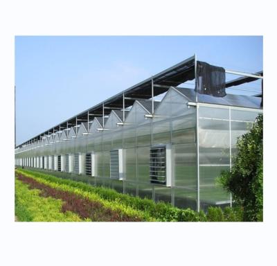 Chine Résistant et de grande serre Agriculture Polycarbonate avec cadre en acier galvanisé à vendre