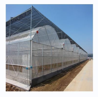 China Film Cover Material Agriculture Multi Span Greenhouse with Galvanized Steel Pipe Tube for sale