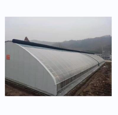 China Single Span Agricultural Greenhouses With Warming Quilt Insulation System for sale