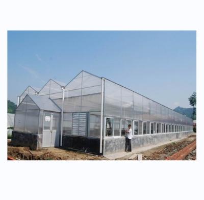 Chine Serres industrielles en feuille de polycarbonate idéales pour la culture de légumes, fruits et fleurs à vendre