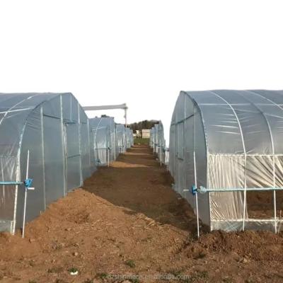 China Film Covered Single Span Agricultural Greenhouse For Hydroponic Crop Cultivation for sale