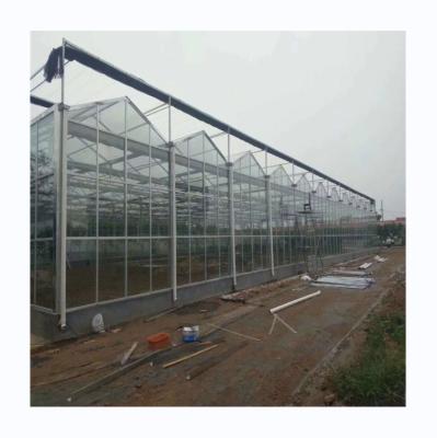 China Multi Span Glass Greenhouse Agricultural Equipment for Vegetable Fruits and Flowers for sale