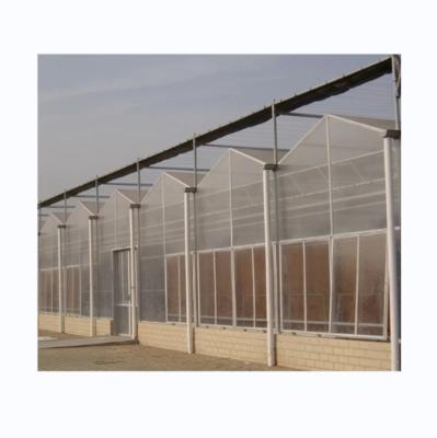 China 8 mm PC-plaat Multi Span Landbouwgreenhouses voor duurzame landbouw Te koop