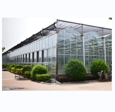 China Glass Cover NFT Hydroponic Growing Systems The Ultimate Solution for Vertical Farming for sale