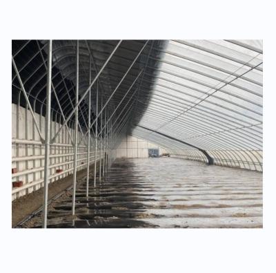 China Solar Winter Greenhouses Warm Agricultural Greenhouse with Galvanized Steel Frame for sale