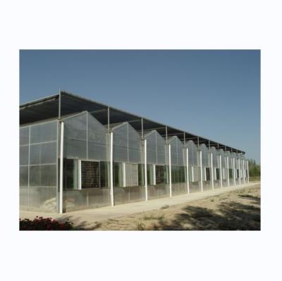 Chine Serre à couverture polycarbonate de 8 mm à résistance extrêmement élevée pour tomates à vendre