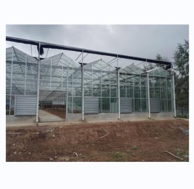 China Tempered Glass Covered Agricultural Greenhouse for Growing Vegetables in Holland Frame for sale