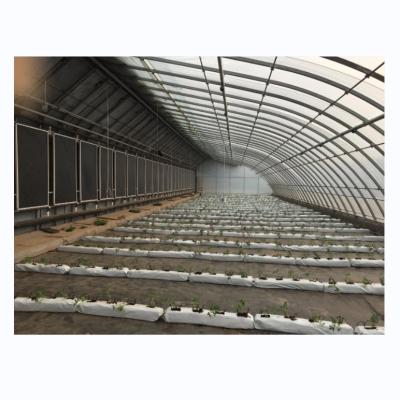 China Small Energy Saving Passive Solar Greenhouse with Hot Dip Galvanized Steel Structure for sale