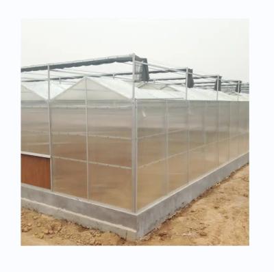 China Supersterke weerstand polycarbonaat kas complete set voor commerciële landbouw Te koop