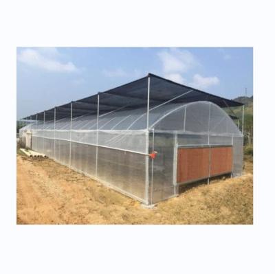 China Small Single Span PE Plastic Film Greenhouse For Vegetable Agriculture 10-100m Length for sale