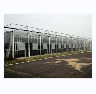 China Large Agricultural Intelligent Holland Greenhouse Glass for Tomatoes Cucumber Lettuce for sale