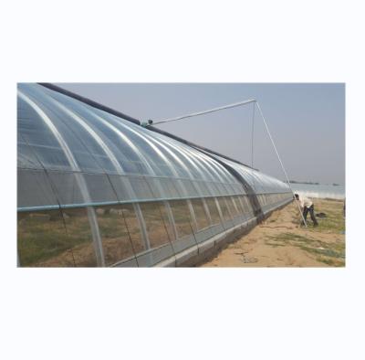 China Single Layer Brick Wall Solar Greenhouses 8m-16m Width With Insulation Blanket for sale