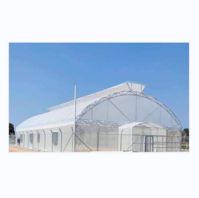 China Drawing Shine Tech Single Span Tunnel Agricultural Greenhouses for sale