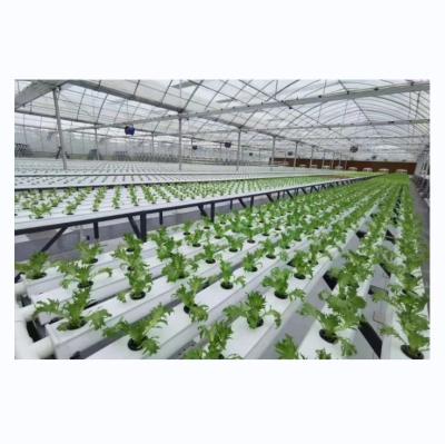 China Canal NFT de tipo horizontal de PVC para cultivo de vegetales de hoja hidropónica de tamaño personalizado en venta