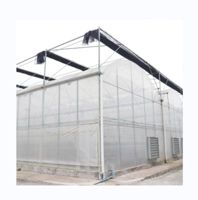 China Multi Span Agricultural Film Greenhouse With Super Strong Resistance for sale