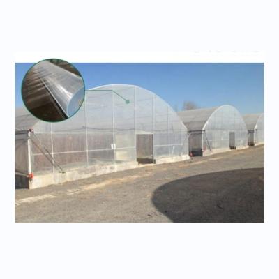 China Hot Dip Galvanized Steel Tube Single Layer Film Plastic Tunnel Agricultural Greenhouses for sale