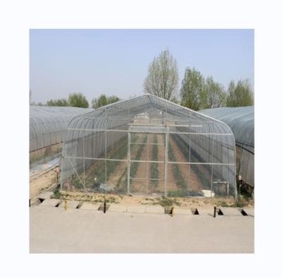 China 300 Square Meter Cucumber Greenhouse Single Span Tunnel Design for sale