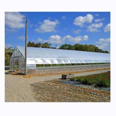 China Hot Dip Galvanized Steel Tube Frame Single Span Agricultural Greenhouse For Grow Tent for sale