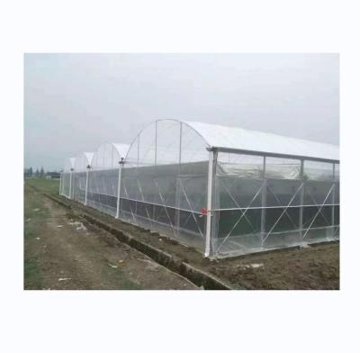 China 150/200 Micron Plastic Film Multi Span Greenhouse For Vegetable And Flower Growing for sale