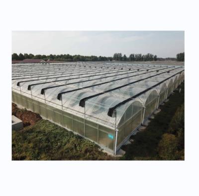 China Commercial Multi Span Film Greenhouse with External Sunshade System and 4m Bay Width for sale