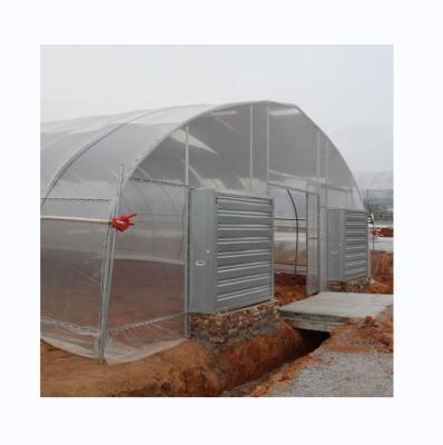 China Cooling System Single Span Agricultural Greenhouses For Tomato Agriculture for sale