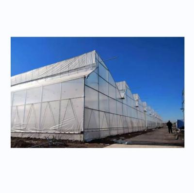 China Large Sawtooth Greenhouse Shine Tech Poly Tunnel Tropical Greenhouse With Ventilation for sale