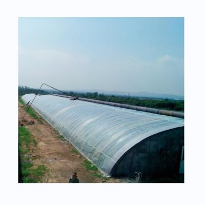 China Single Span Agricultural Greenhouses Durable For Winter Vegetable Production for sale