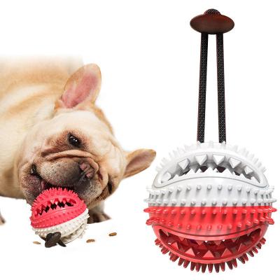 China Stocked New Arrival Smart Pet Bite Toys Set Squeaky Interactive Dog Chew Toys Dog Chew Ball Dog Chew Toothbrush Toy for sale