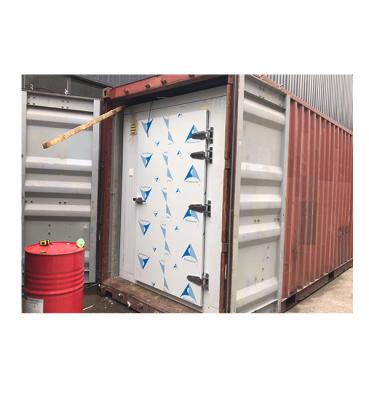 China Mobile 20FT Container Container Cold Storage Room For Fish Meat Fruit Vegetable Ice Blocks for sale