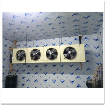 China Direct cold storage fresh storage fish storage container factory cold room cold room for meat for sale