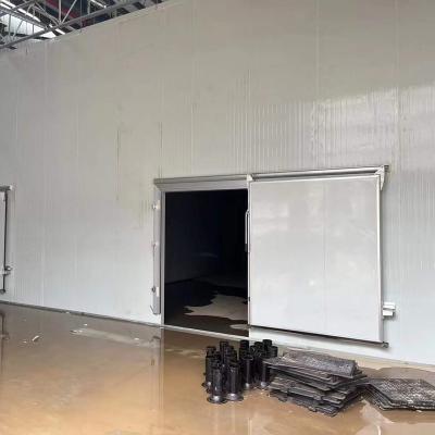 China Container Cool Room Cold Storage Room For Potato Milk Fish And Fruit for sale