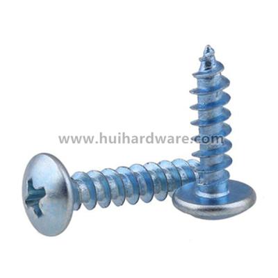 China Pan Pan Phillips Head Self Tapping Screw for sale