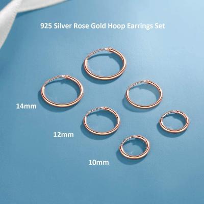 China TRENDY Women Men Fashion Round Earrings Jewelry Gold Customized 925 Silver Tiny Circle Earrings for sale