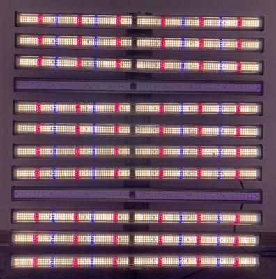 Cina Controller dimmer per la crescita di luce a LED distaccabile da 1000W per la coltivazione idroponica interna in vendita