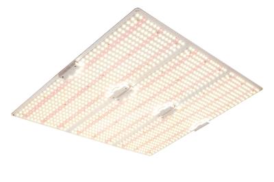 China Veelzijdig Dimmable LED Grow Light Quantum Board Eenkanaal Gemakkelijk te installeren Te koop