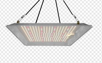 China LEDs de aluminio en interiores Cuadro cuántico Crecer luz fácil de instalar / usar en venta