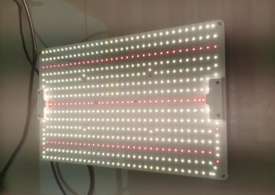 China Hoge efficiëntie LED groeilamp 200W Quantum Board 480*300*75mm Te koop