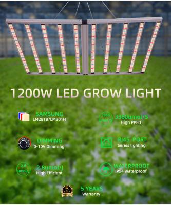 China Hydroponic LED Grow Lights Durable 1200W Dimmable Full Spectrum Plant Light Customizable Coverage for sale