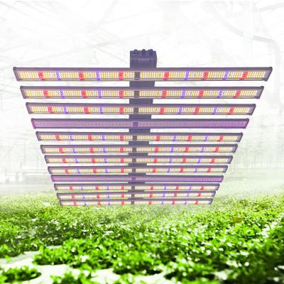 China 1200W Dimmable Adjustable LED Grow Lights Voor binnenshuis kas Te koop