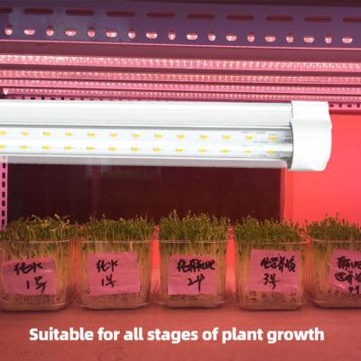 China 4ft hydroponic light 36w 18W T8 led grow light tube led indoor grow lights stand for lettuce mushroom for sale