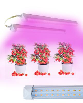 China Indoor plants veg bloom stages T8 tube 2ft 3ft 4ft horticulture led grow lights for greenhouse for sale