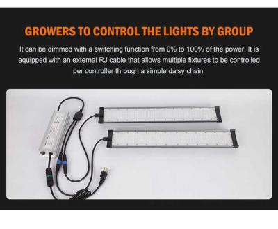 China Hlg Quantum Board LED Grow Lights LED Grow Light Quantum Board 200w LED Grow Light for sale