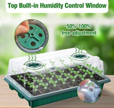 China Rectangular 40 Cell Plant Seedling Trays for Easy Planting Solutions and Efficiency for sale