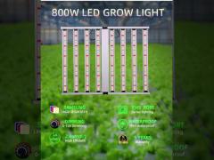 Full Spectrum LED Grow Light