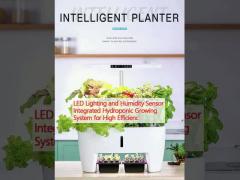 LED Lighting and Humidity Sensor Integrated Hydroponic Growing System for High Efficienc