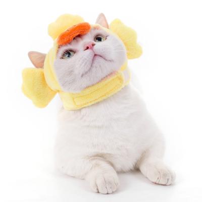 China Sustainable Warm Pet Headwear Cute Velvet Hats For Puppy for sale